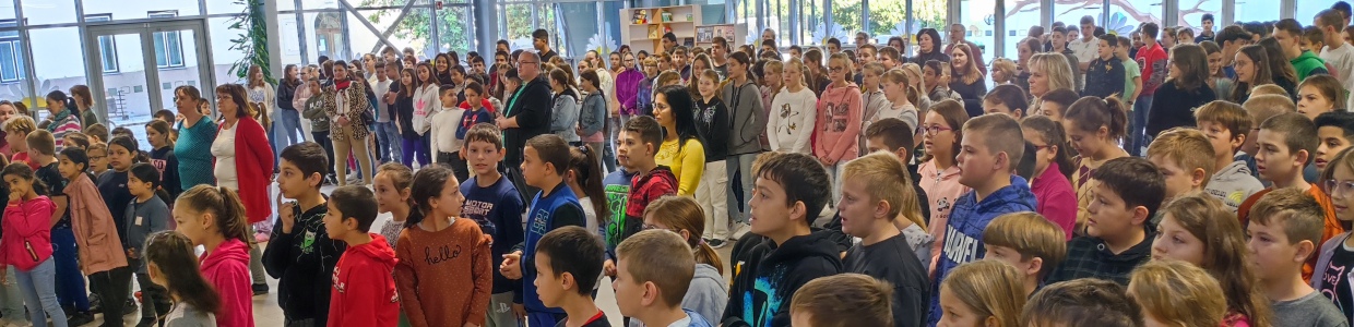 fejlec43.jpg